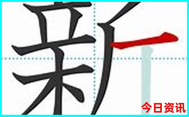 毒蜘蛛排行榜前十名